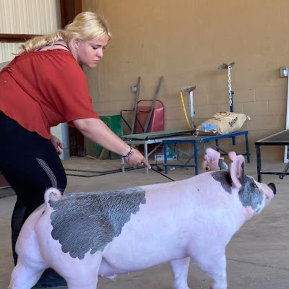 Meet your Posher, Justina